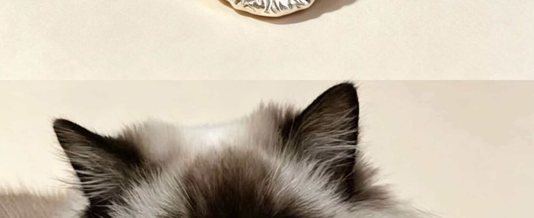 Best Pet Memorial Jewelry: Meaningful Ways to Keep Their Memory Close