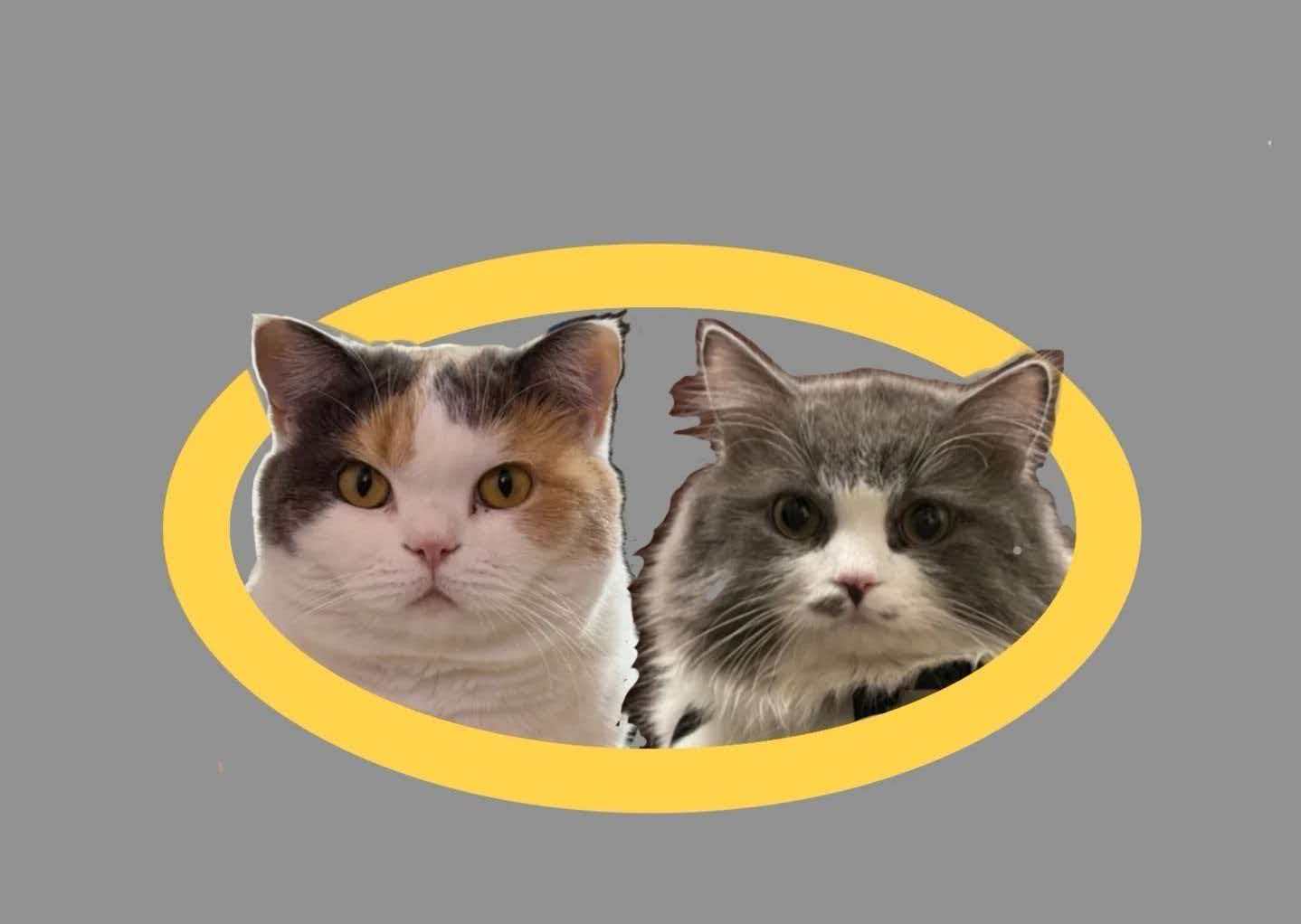 Pet photo for leather portrait