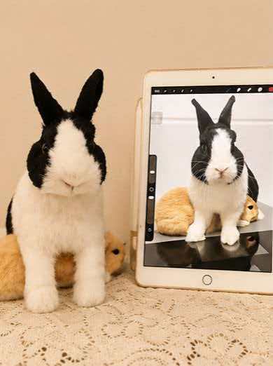 Custom 3D Pet Wool Felt Figure