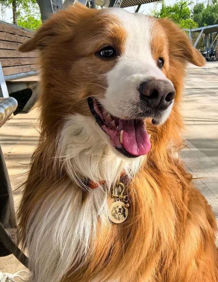 Custom brass heart pet memorial pendant