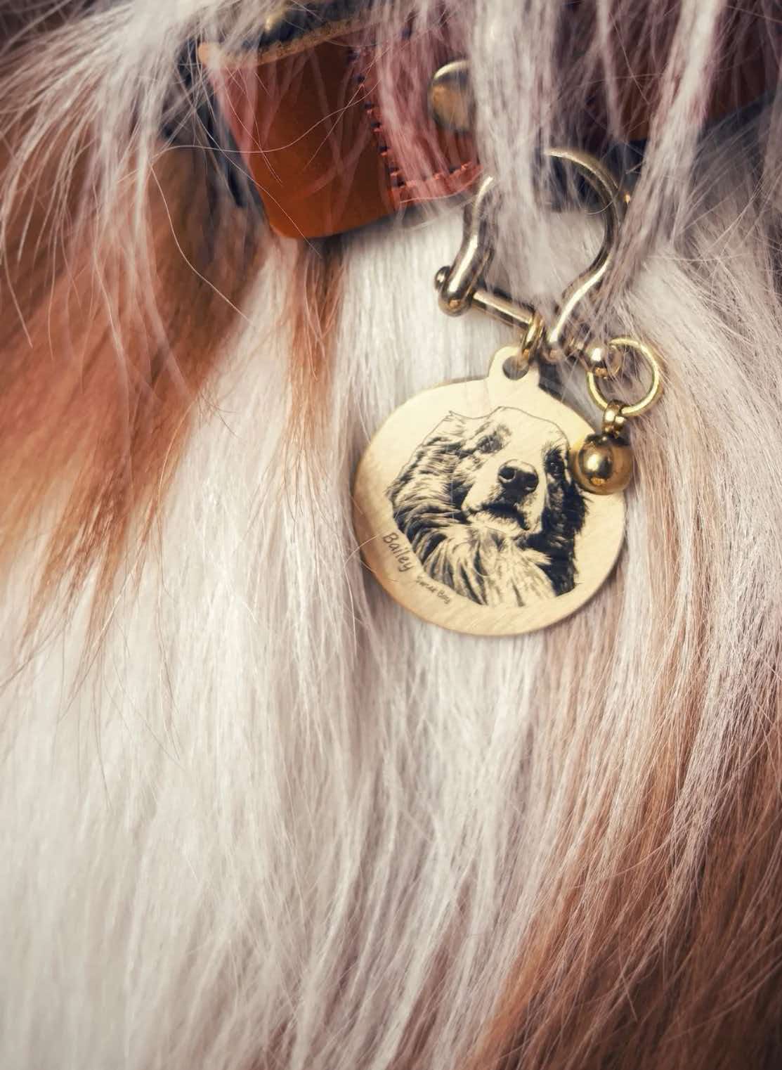 Custom brass cat portrait tag