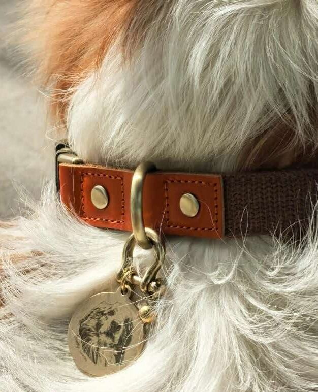Custom pet paw print brass tag