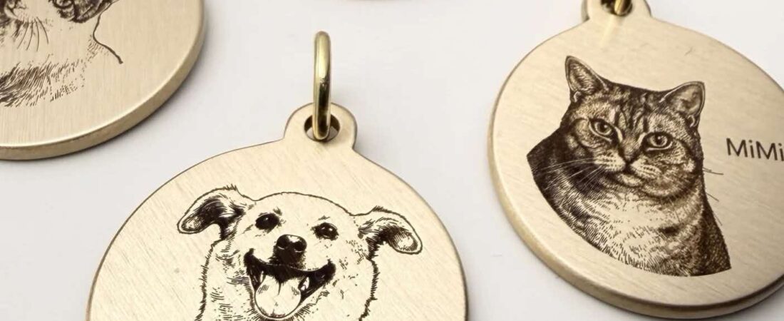 Meaningful Ways to Celebrate Your Pet and Preserve the Memories You Share